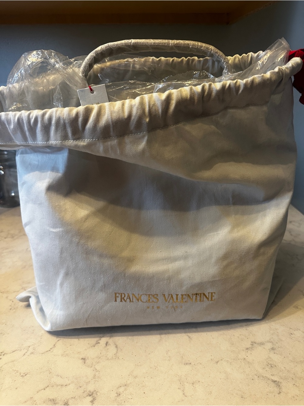 Frances Valentine clear Henry bag